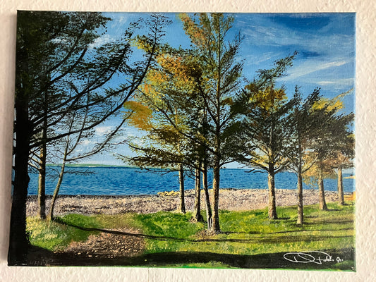 Thyholm-Oddessund Nord - Søvej- Thyholm Sea overview 40x30 cm Acrylic