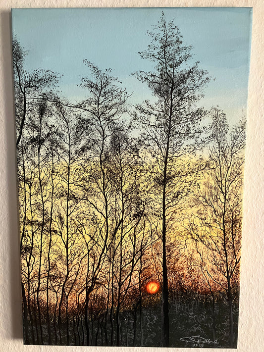 Sunrise at the Woods 40 cm x 60 cm